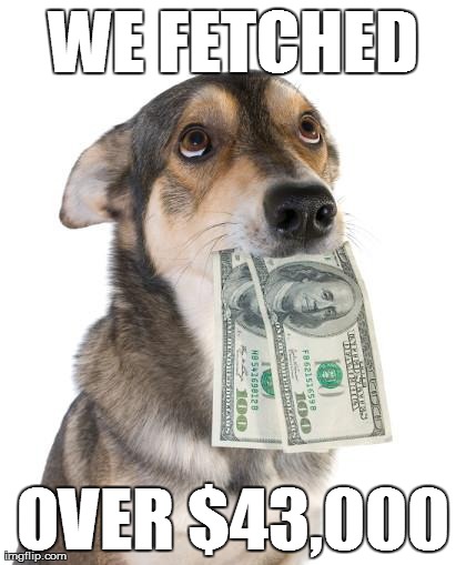 fetch-43000