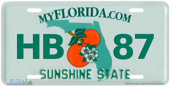 Two Months Later: the Aftermath of Florida's New Foreclosure Law