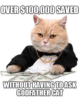 Loan Modification - Godfather Cat