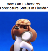 florida-foreclosure-status