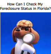 florida-foreclosure-status