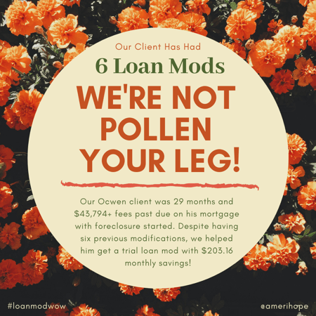 Our Ocwen client was 29 months and $43,794+ fees past due on his mortgage with foreclosure started. Despite having six previous modifications, we helped him get a trial loan mod with $203.16 monthly savings!