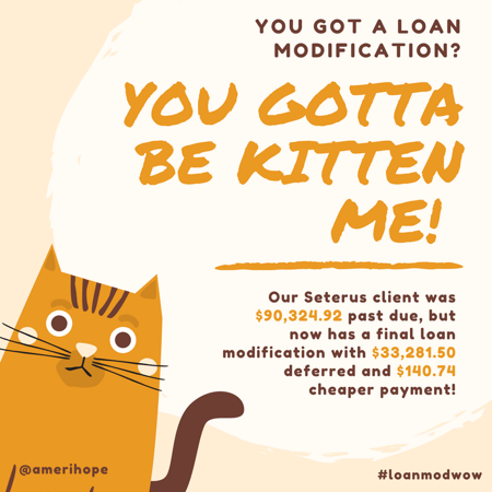 You gotta be kitten me! Our Seterus client was $90,324.92 past due, but now has a final loan modification with $33,281.50 deferred and $140.74 cheaper payment!