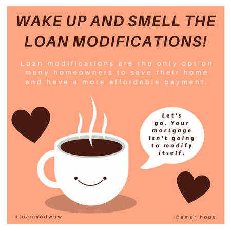 Every week we obtain loan modifications for our clients with a variety of loan servicers to allow our clients avoid foreclosure and keep their homes. Here are some of the results.